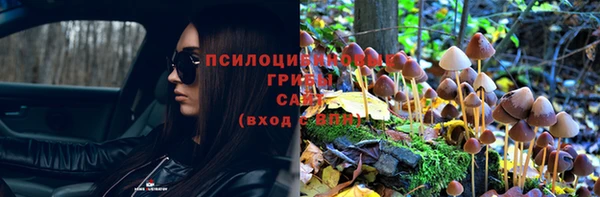 прущая мука Абдулино