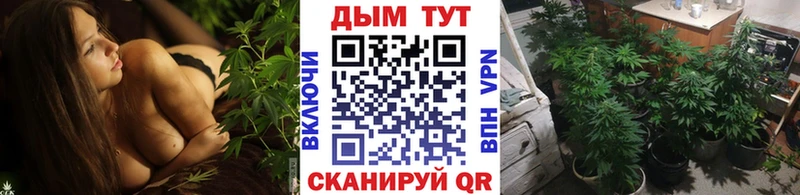наркотики  Катайск  Шишки марихуана SATIVA & INDICA 